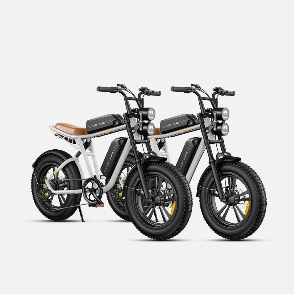 ENGWE M20 Fat Tyre Electric Bike 750W