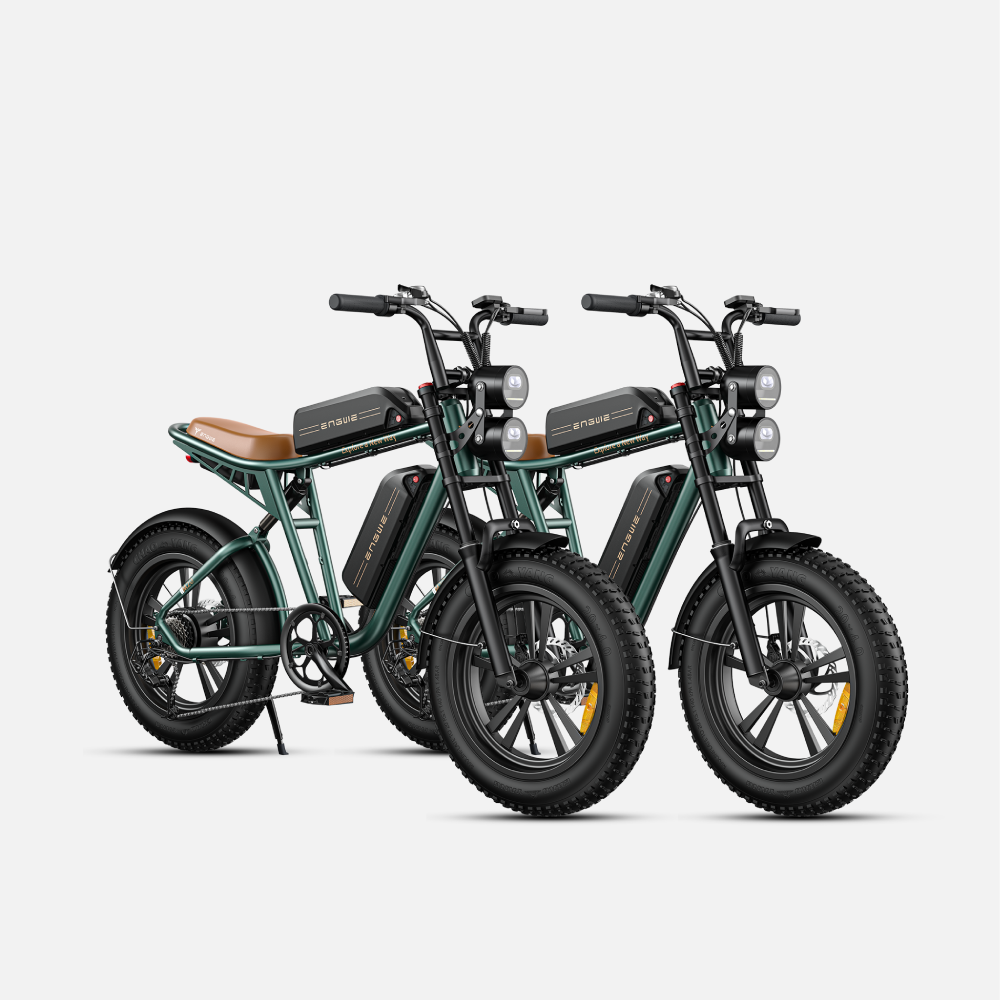 ENGWE M20 Fat Tyre Electric Bike 750W