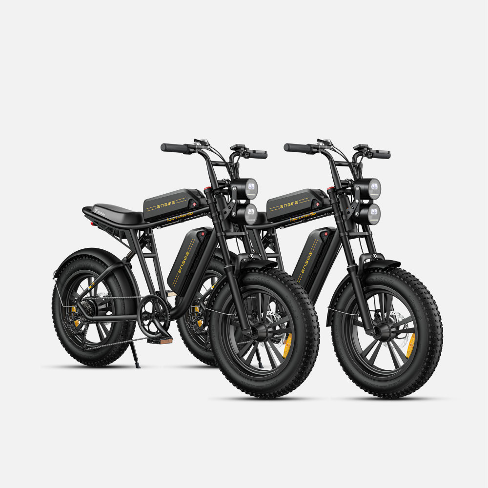 ENGWE M20 Fat Tyre Electric Bike 750W