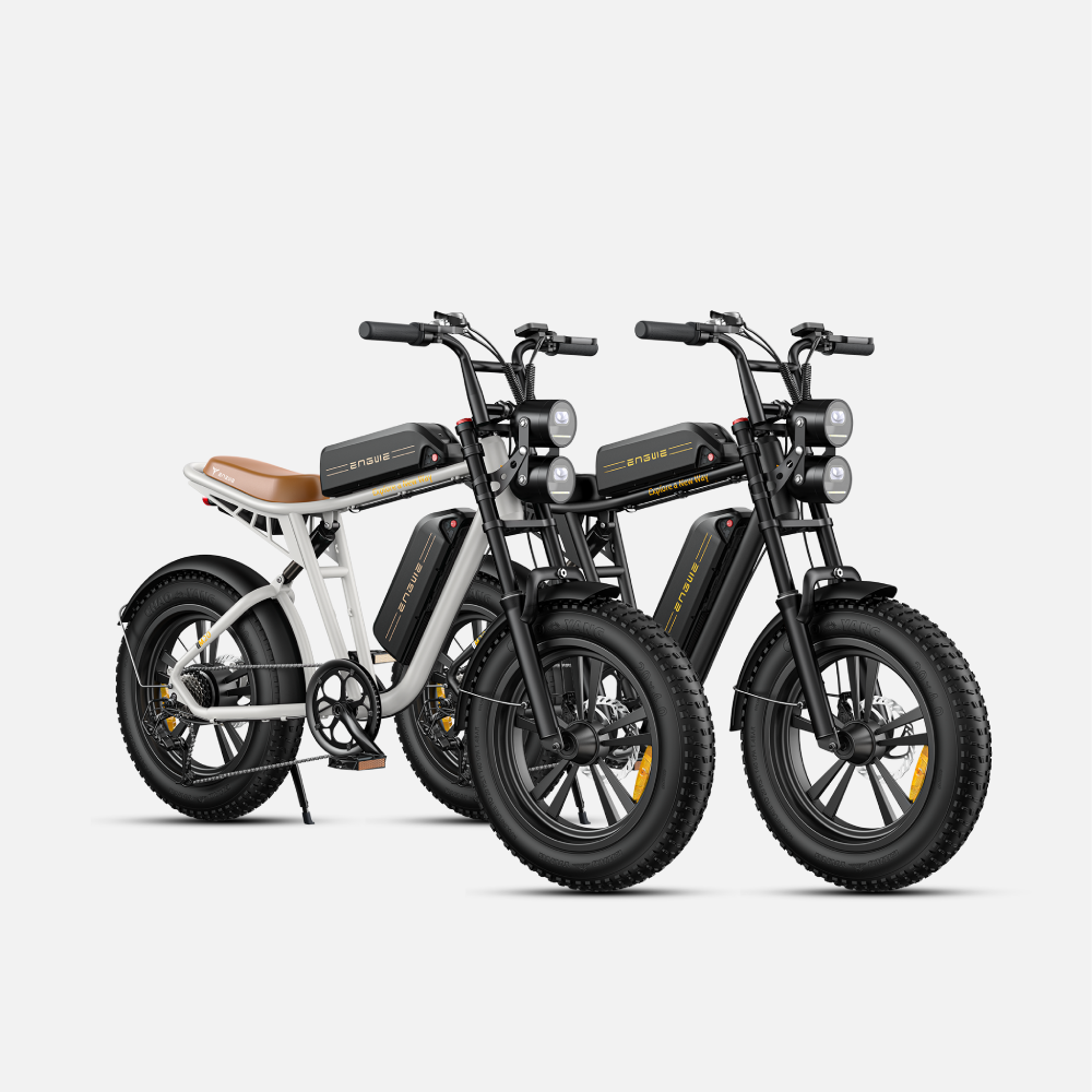 ENGWE M20 Fat Tyre Electric Bike 750W