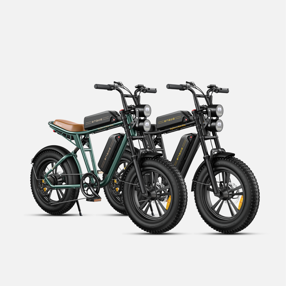 ENGWE M20 Fat Tyre Electric Bike 750W
