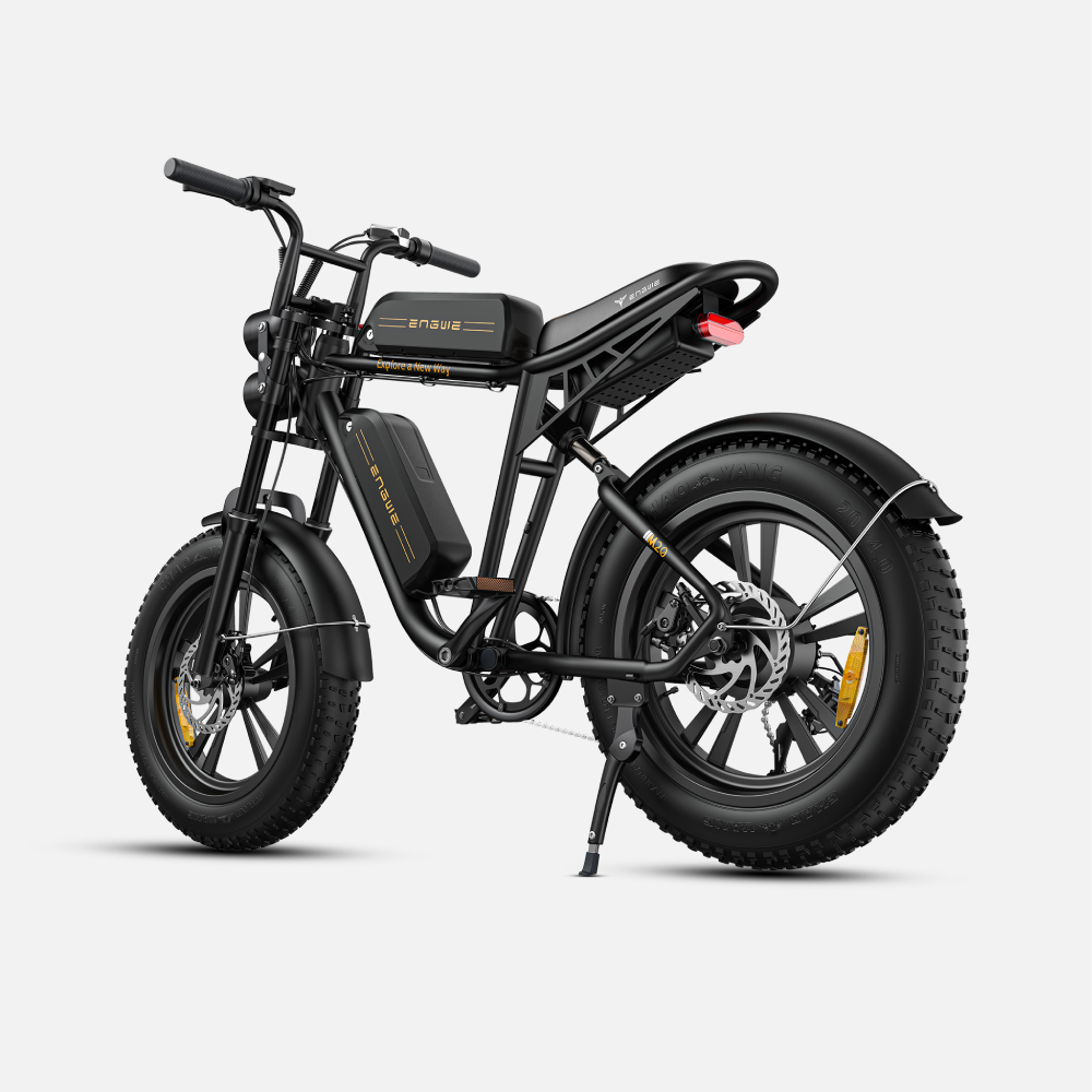 ENGWE M20 Fat Tyre Electric Bike 750W