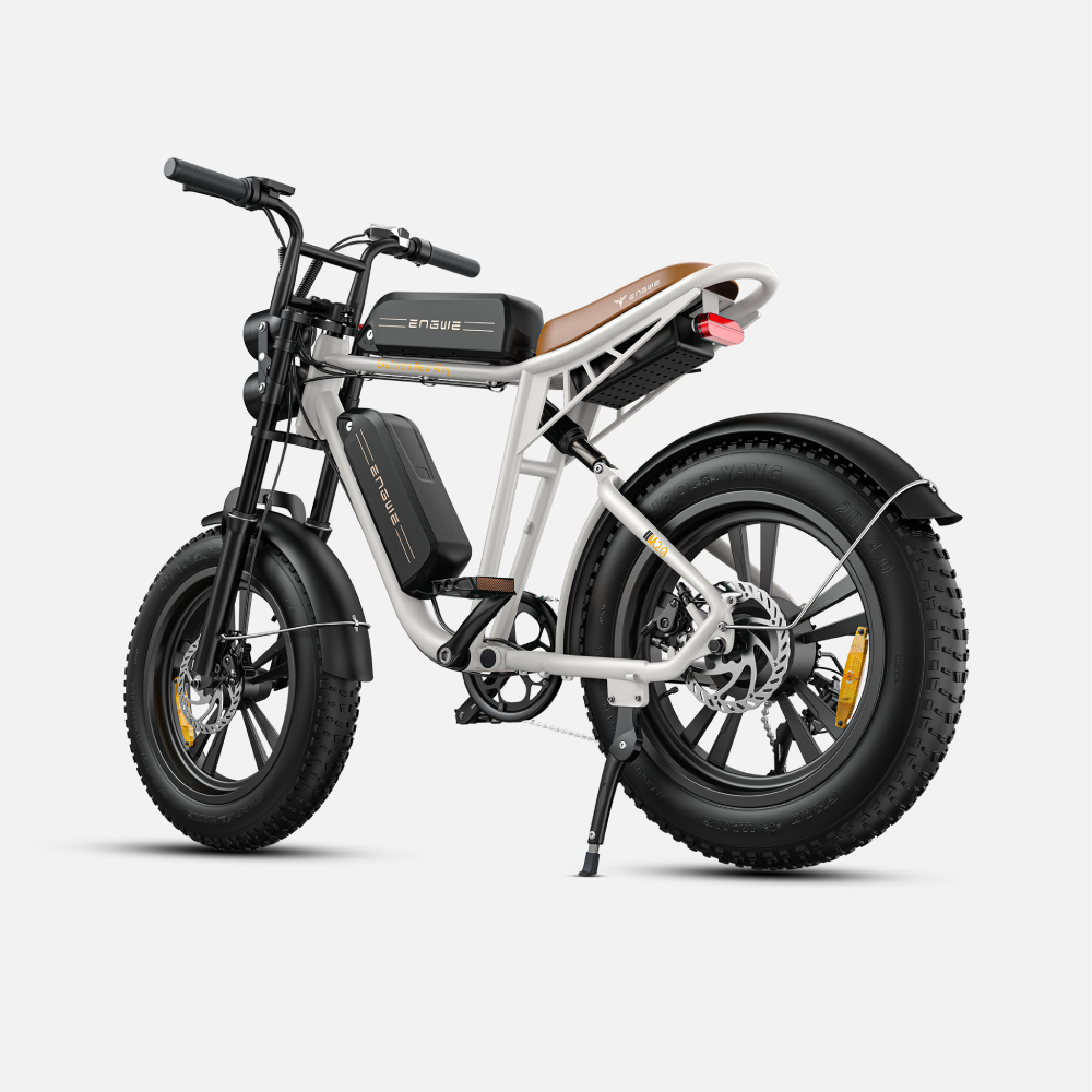 ENGWE M20 Fat Tyre Electric Bike 750W