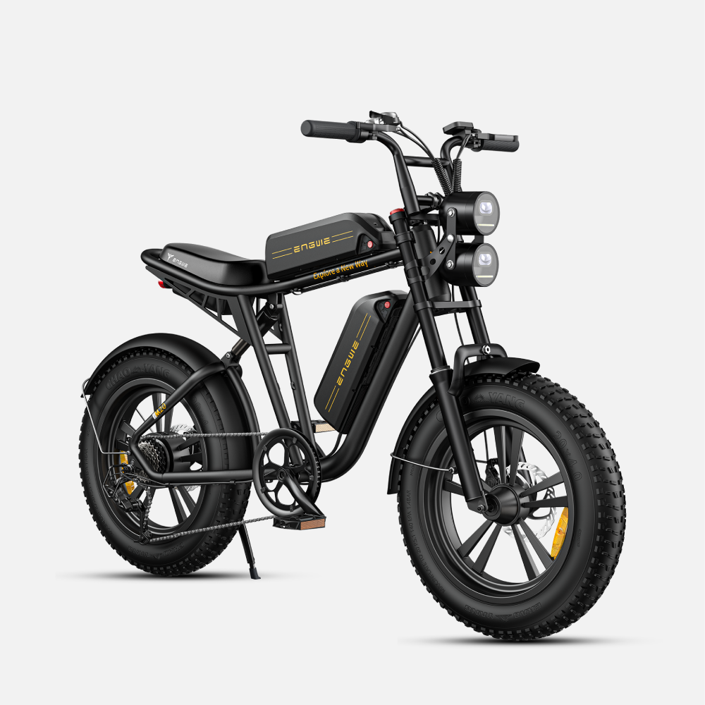 ENGWE M20 Fat Tyre Electric Bike 750W