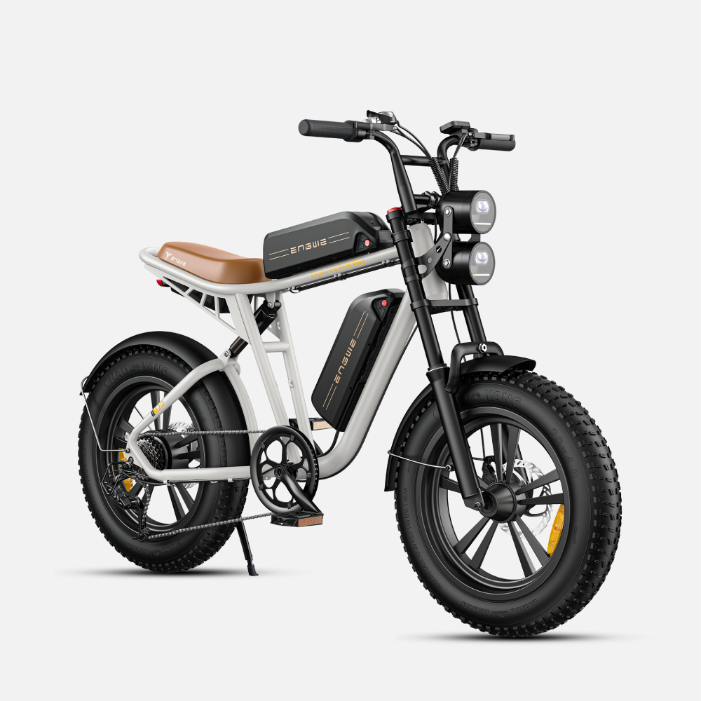 ENGWE M20 Fat Tyre Electric Bike 750W