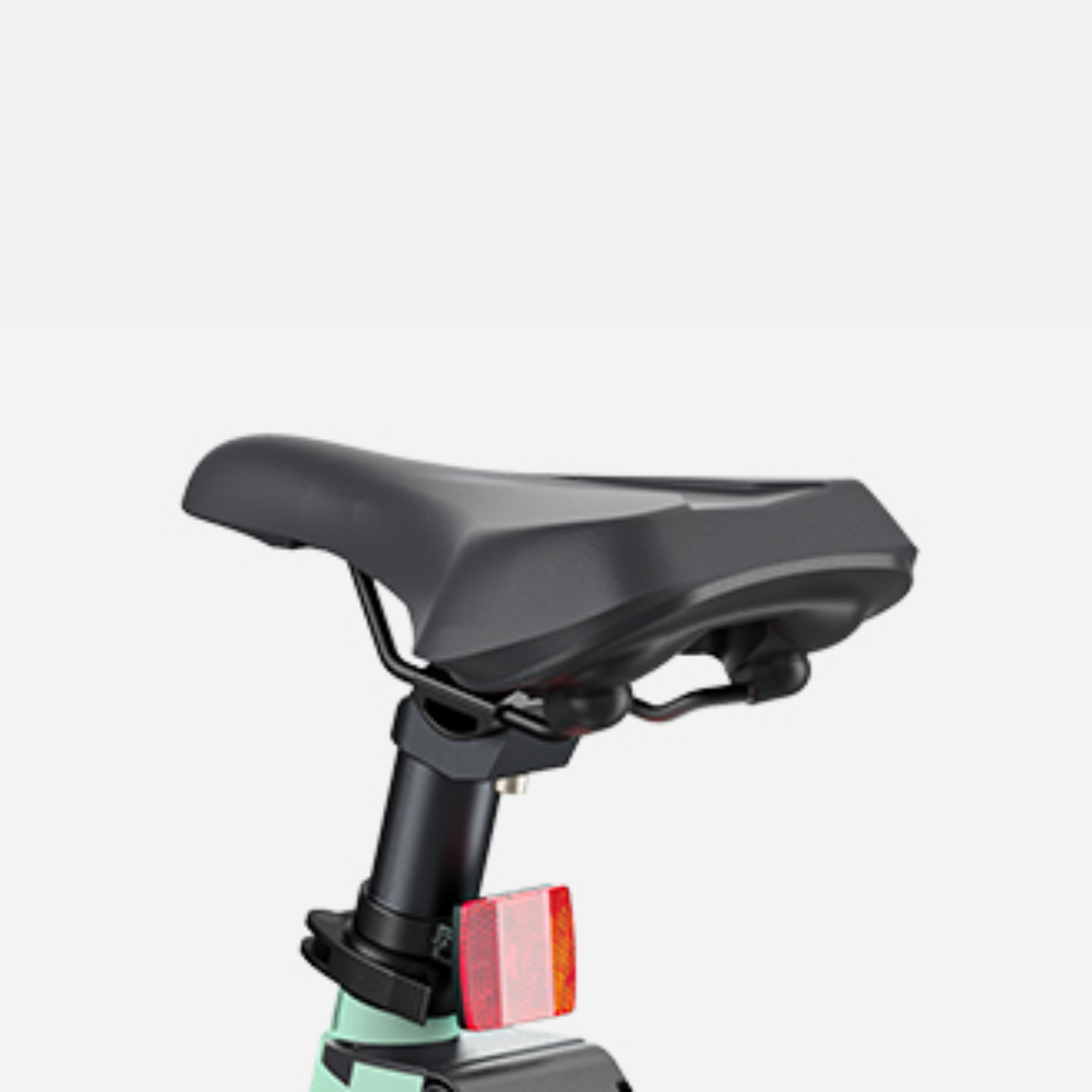 ENGWE P20 250W Folding E-Bike
