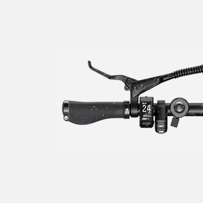 ENGWE P20 250W Folding E-Bike