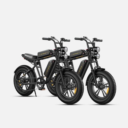 ENGWE M20 Fat Tyre Electric Bike 750W