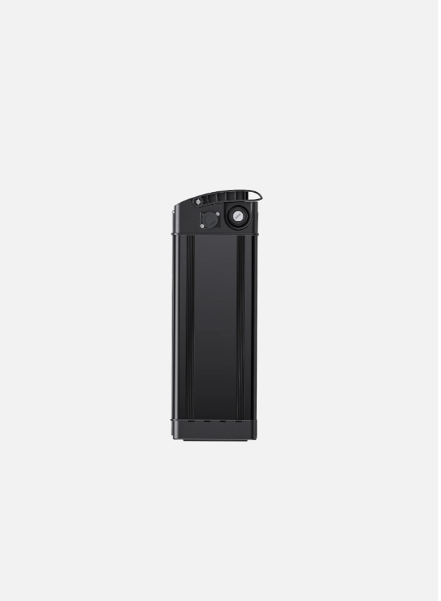 ENGWE Lithium-ion Battery