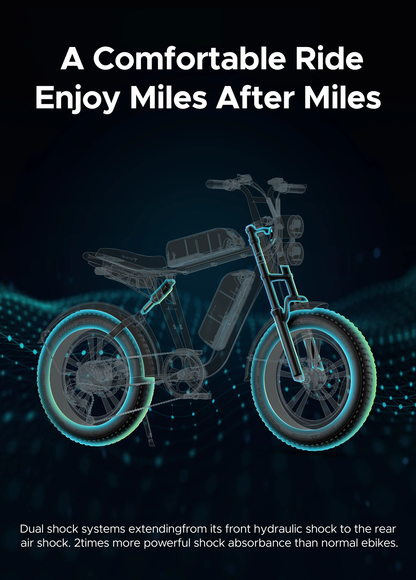 ENGWE M20 Fat Tyre Electric Bike 750W