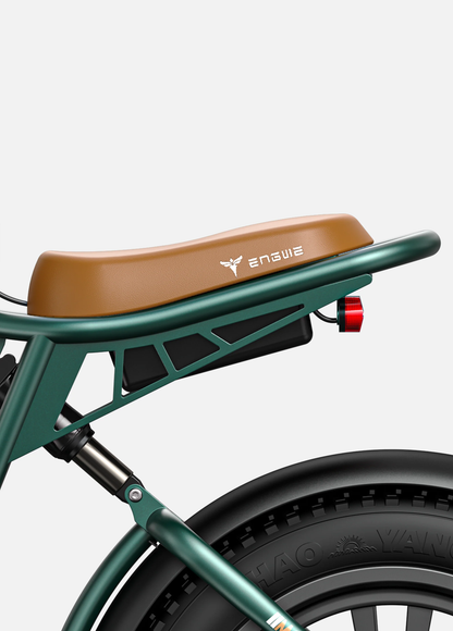ENGWE M20 Fat Tyre Electric Bike 750W