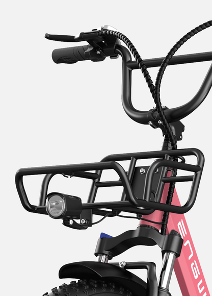 ENGWE L20 250W