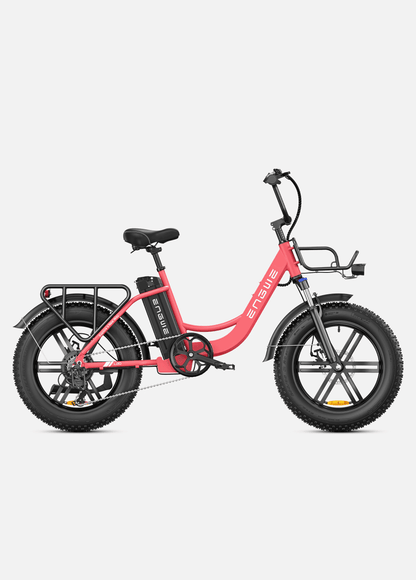 ENGWE L20 250W