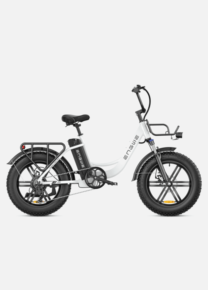 ENGWE L20 250W