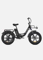 ENGWE L20 250W