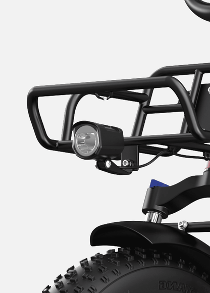 ENGWE L20 250W