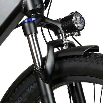 SAMEBIKE RS-A01 Fat Tyre Electric City Bike 750W