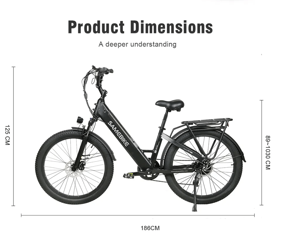 SAMEBIKE RS-A01 Fat Tyre Electric City Bike 750W