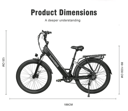 SAMEBIKE RS-A01 Fat Tyre Electric City Bike 750W