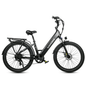 SAMEBIKE RS-A01 Fat Tyre Electric City Bike 750W