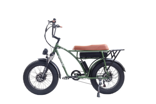GOGOBEST GF 750  Vintage Retro Electric Bike