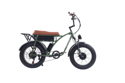 GOGOBEST GF 750  Vintage Retro Electric Bike