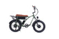 GOGOBEST GF 750  Vintage Retro Electric Bike