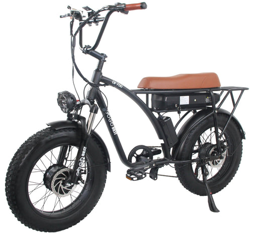 GOGOBEST GF 750  Vintage Retro Electric Bike