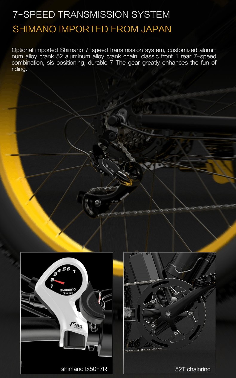 GOGOBEST GF600 Off Road Electric Bike 1000W