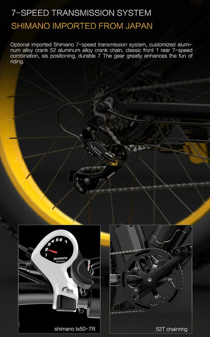 GOGOBEST GF600 Off Road Electric Bike 1000W